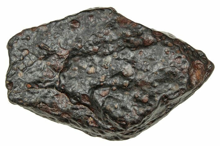 Carbonaceous Chondrite Meteorite ( g) - NWA #334327